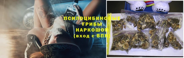 mdpv Гусиноозёрск