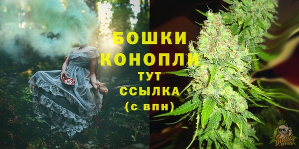 мяу мяу мука Гусь-Хрустальный