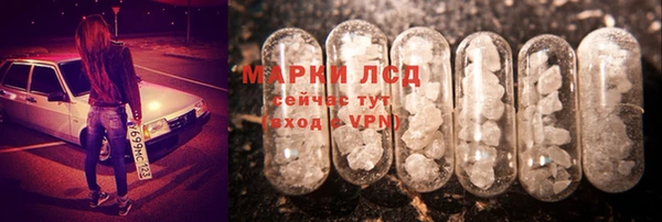 мяу мяу мука Гусь-Хрустальный